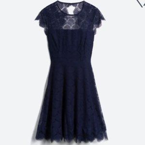 Kensie - Navy Mira Lace Dress - size 8